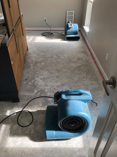 Worry Free Carpet Cleaning