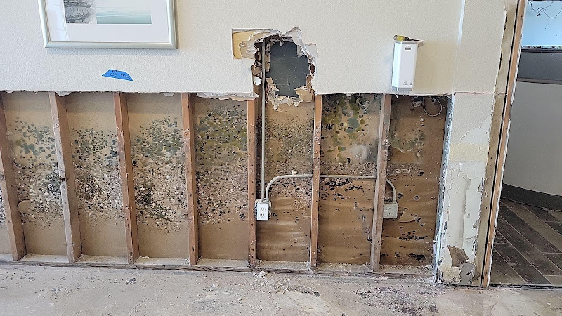 QCI Mold and Water Damage