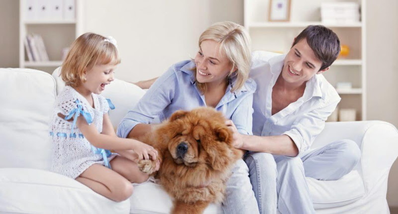 Genesis Healthy Homes