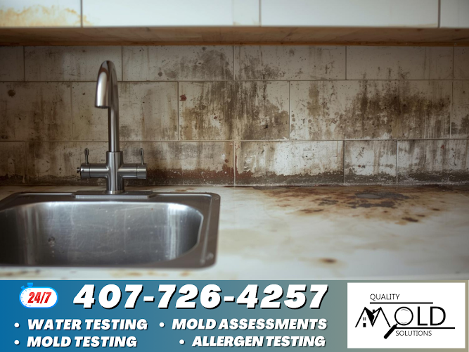 Quality Mold Solutions, LLC.