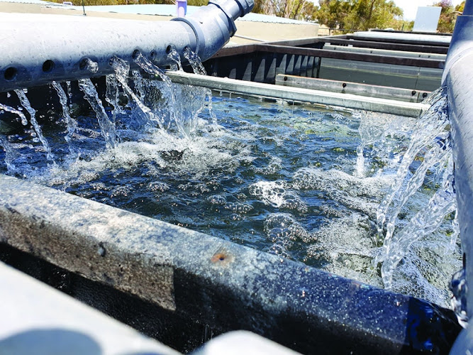 Wise Water Damage Restoration Group