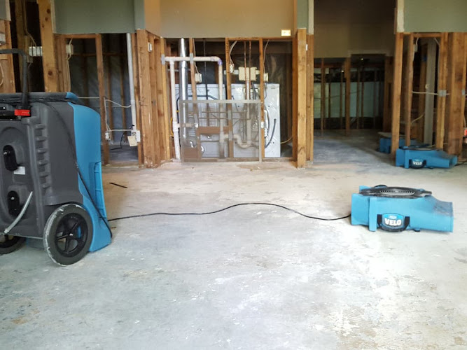 Lion Mold and Water Removal Co