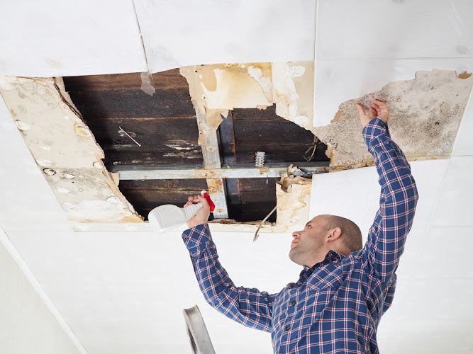 Water Damage Service Rockville Centre