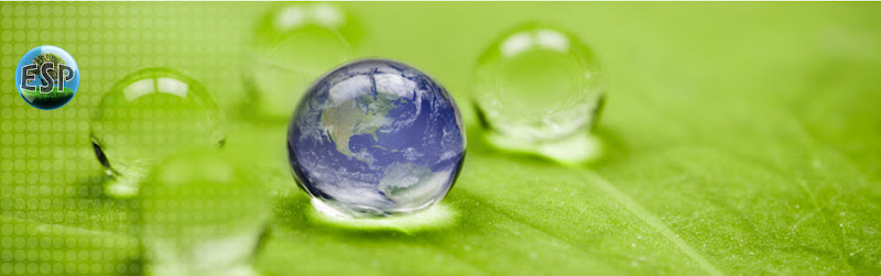 Environmental Services Provider