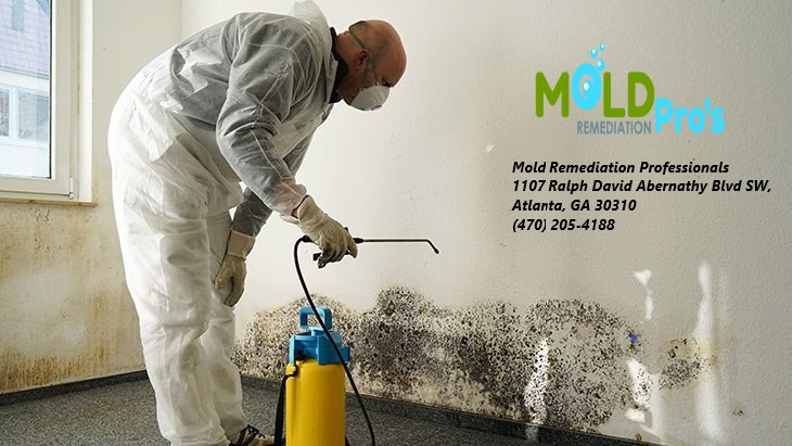 Mold Remediation Professionals