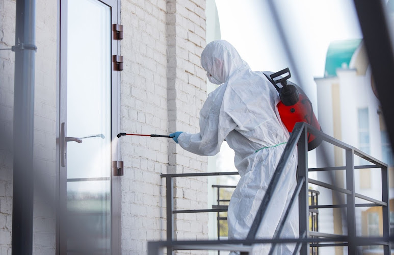 Madison Mold Removal Pros
