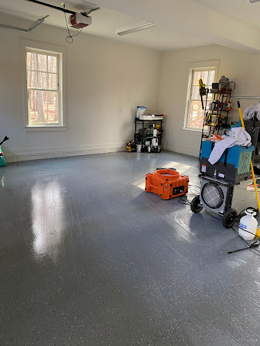 Mold Removal Services