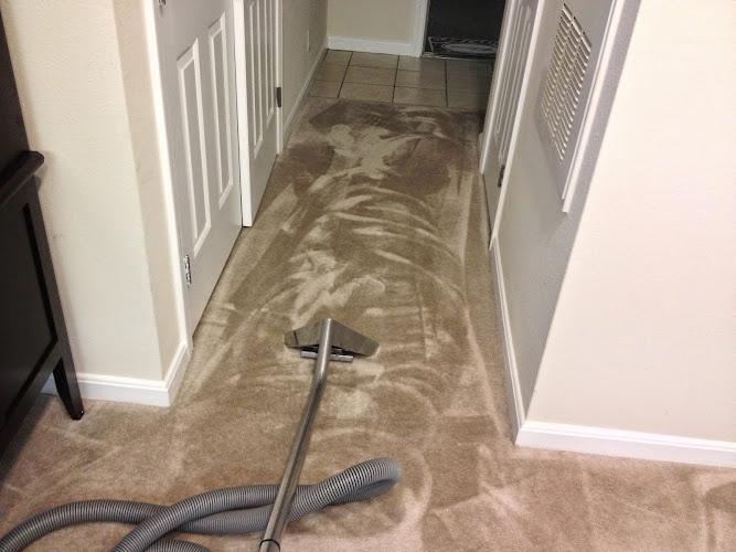 Easy Pro Carpet & Upholstery Cleaning Service