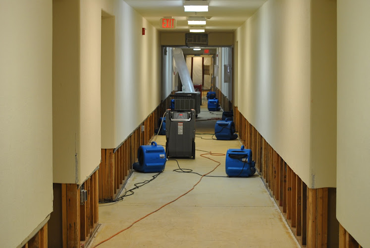 Sunshine Restoration