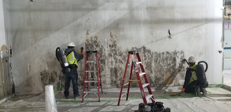 Access Mold & Fire Restoration