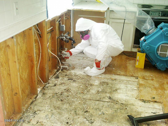 Guardians Mold Removal Los Angeles