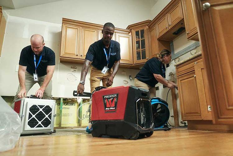 Larson Water Damage Restoration Solutions