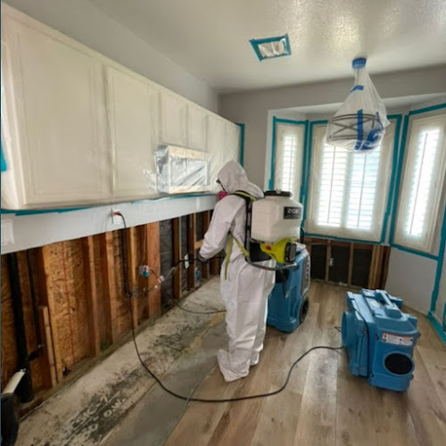 Mold Remediation Los Angeles