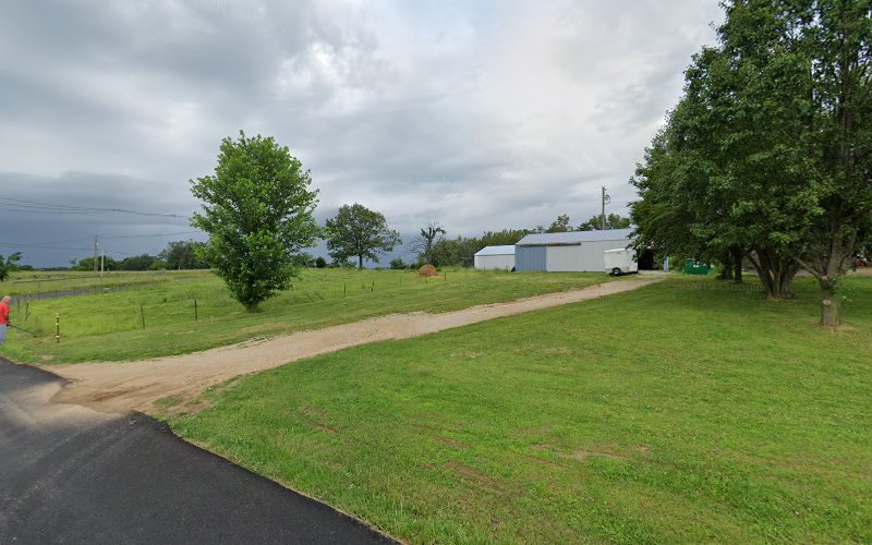 Mega Dry Basement Water Proofing & Mold Remediation