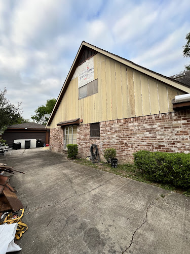 Meadows Place Mold Removal