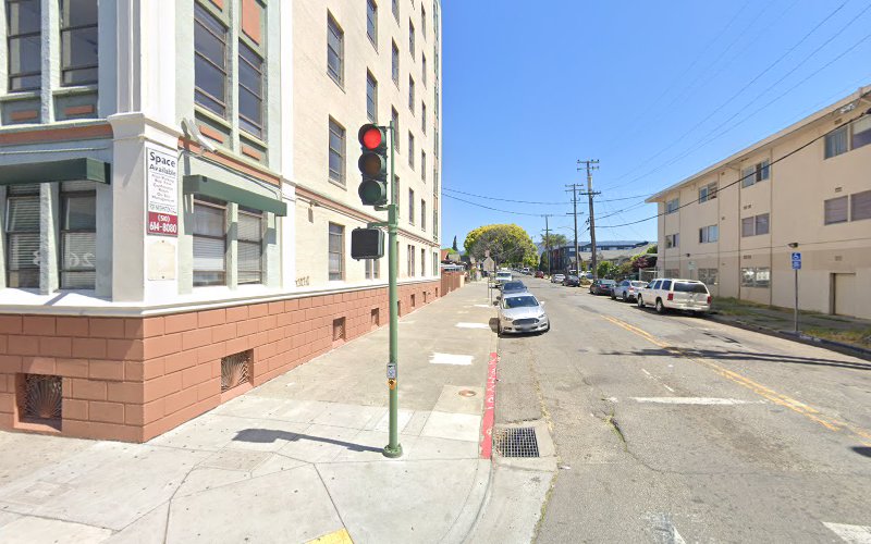 Damp Solving Water & Mold