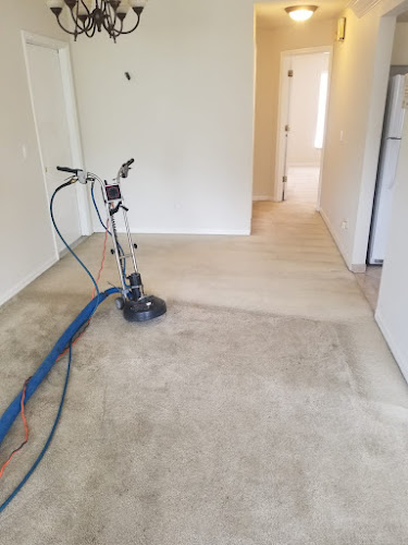 All Clean Carpet & Upholstery Inc