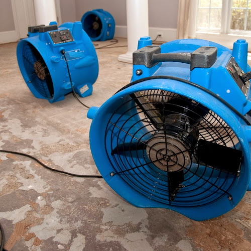 Rainbow International of Helena