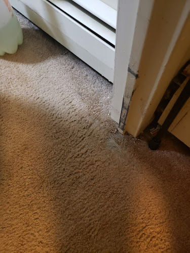 AllBrite Disaster Restoration & Cleaning