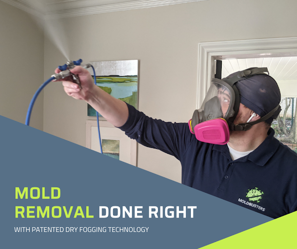 Mold Busters Greenville