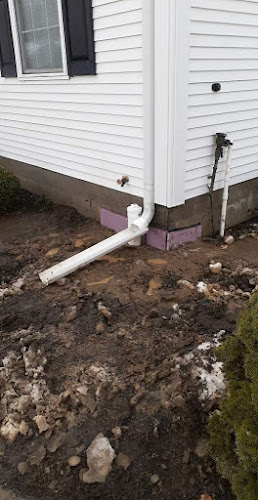 Airguard Restoration | Mold Remediation & Removal Cleveland