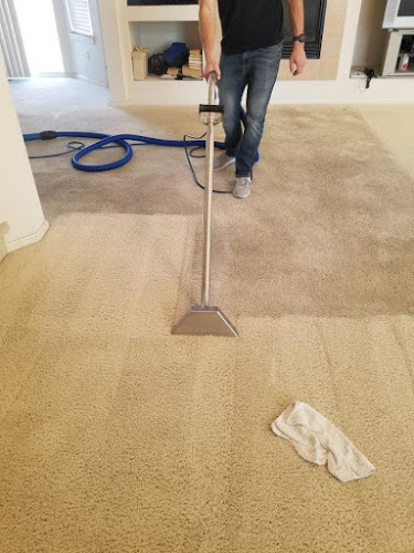 STC Carpet Care