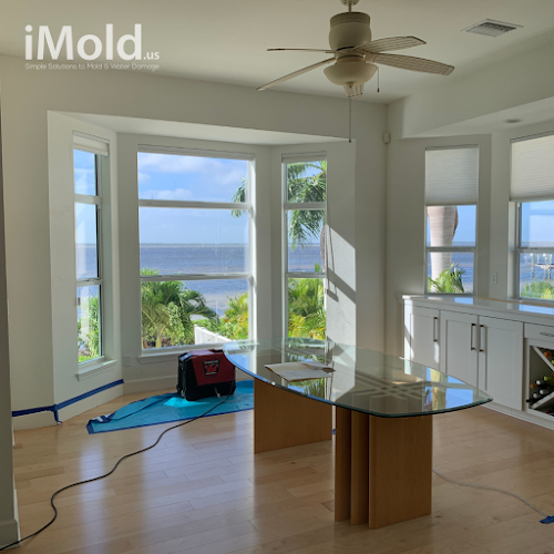 iMold Cleaning and Restoration - Water Damage and Mold Removal Specialists