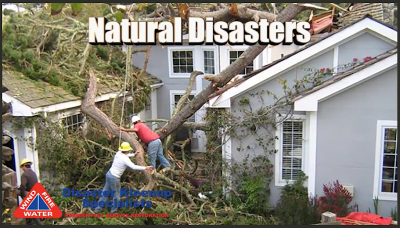 Disaster Kleenup Specialists