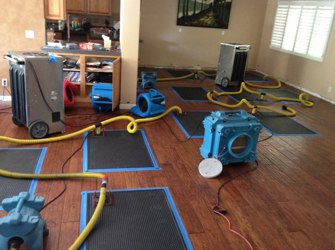 H2O Restored | Water Damage Restoration Specialists