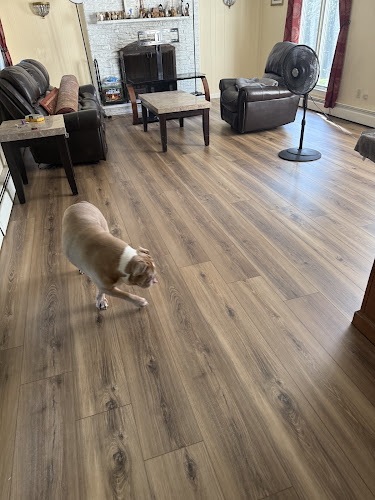 Single Source Disaster Recovery Specialists