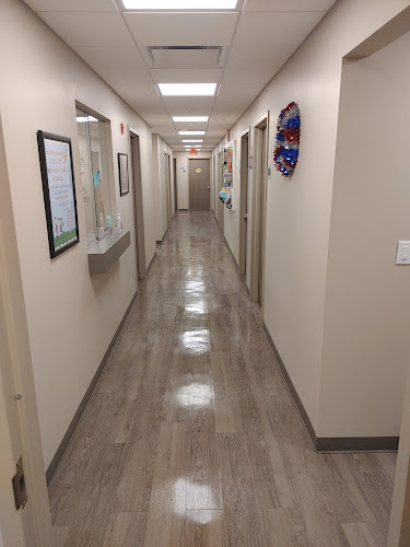 C&D Carpet & Upholstery Cleaning Service