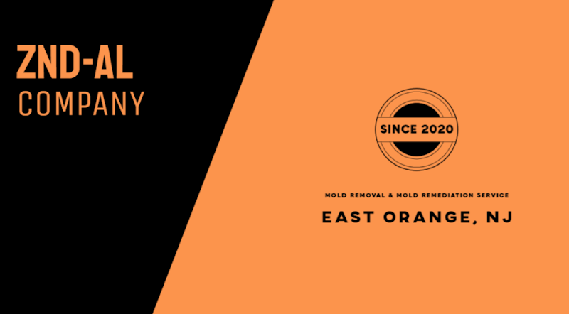 ZND-AL Mold Removal & Mold Remediation Service East Orange, NJ