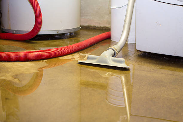 Maplewood Water Damage Restoration Group