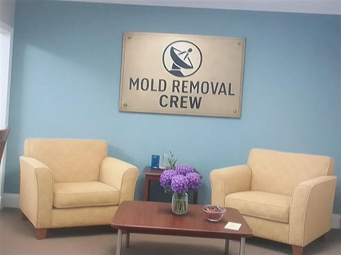 Mold Removal Crew - Houston TX