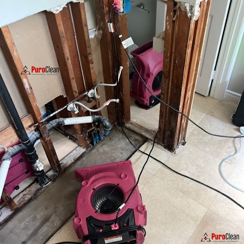 PuroClean of San Clemente