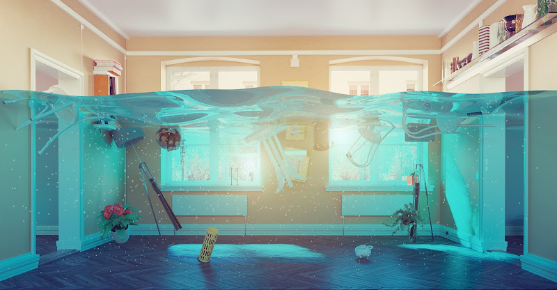 Water and Fire Damage Repair 360 - Union City