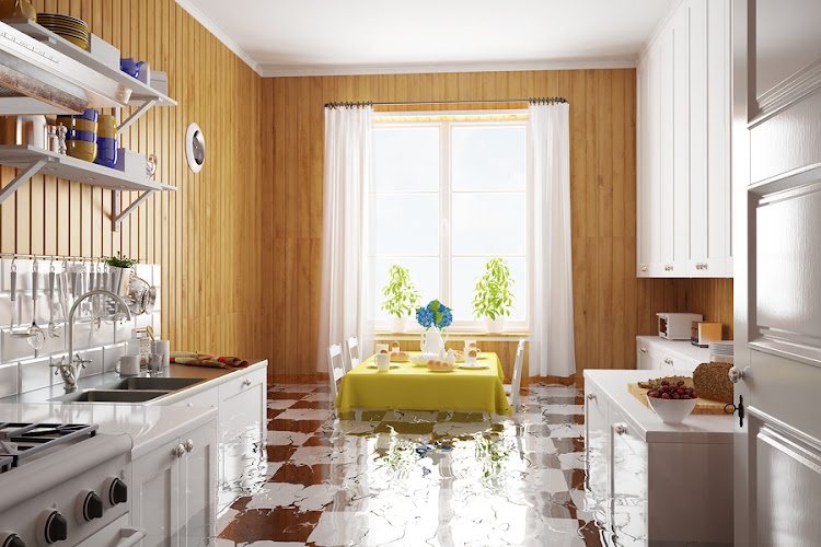 Deluge Doctors Restoration