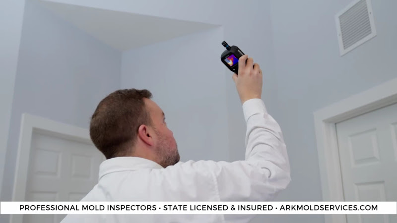 Ark Mold Inspection Services