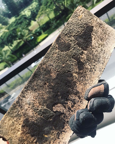 Urgent Island Restoration