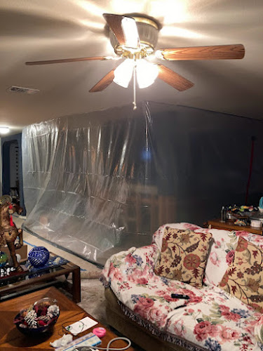 Pentogan Mold Removal & Remediation