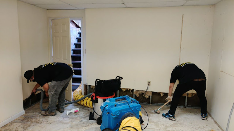 SpreadX Mold Specialists - Lakewood NJ