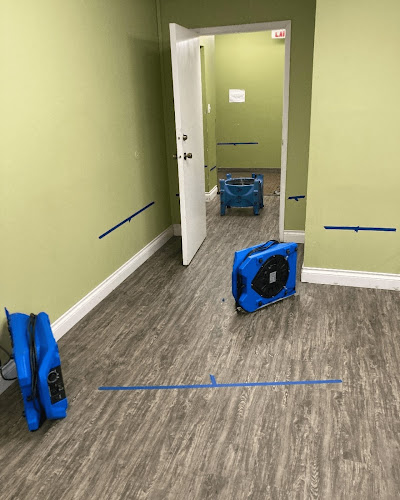 ABC Mold Removal Bronx