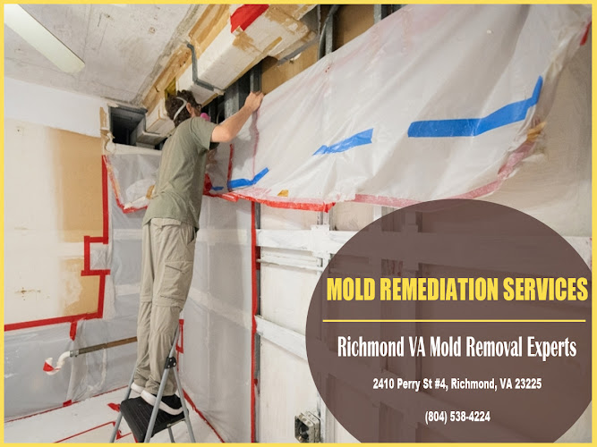 Richmond VA Mold Removal Experts
