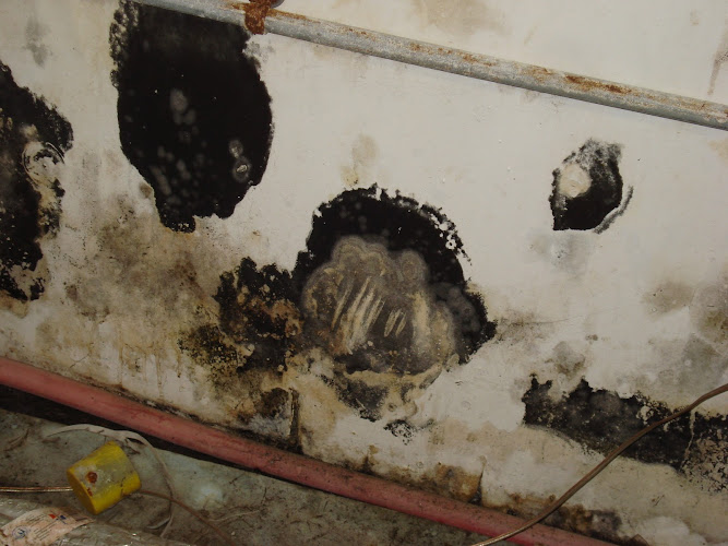 Environmental Resources & Services