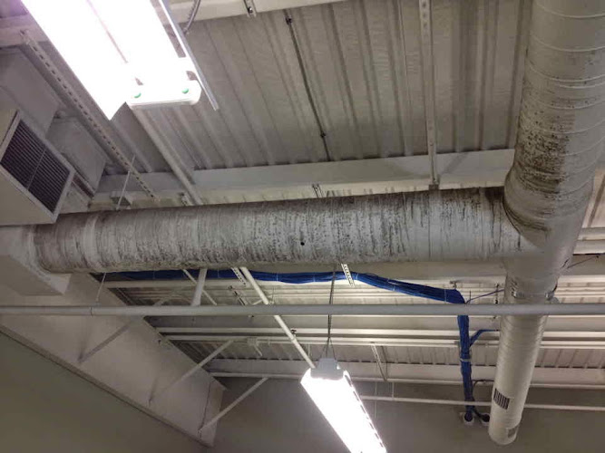 A + Restoration Water Damage Clean UP