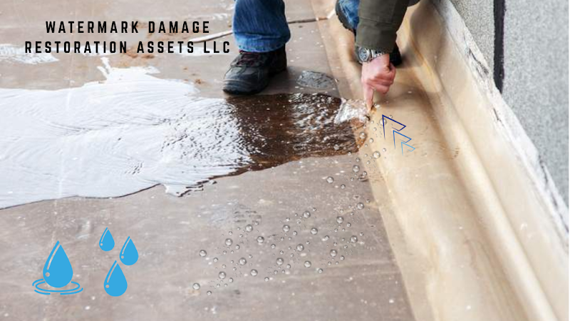 Watermark Damage Restoration Assets LLC