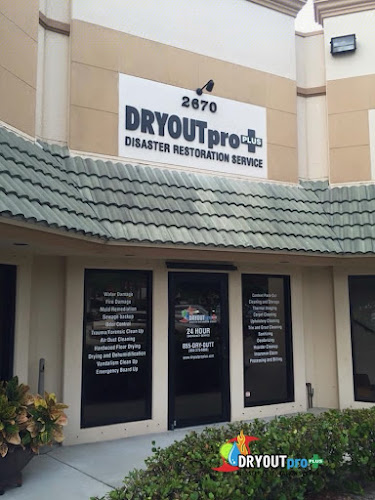 DRYOUTpro PLUS, Inc.