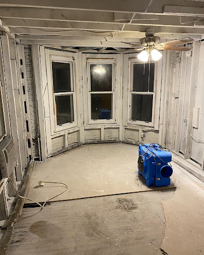 Top Shelf Mold Removal