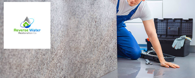 Reverse Water Restoration Co.