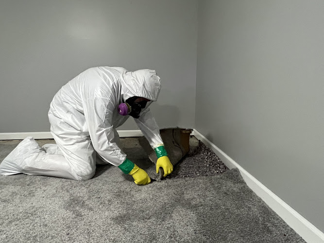 Emergency Services Inc